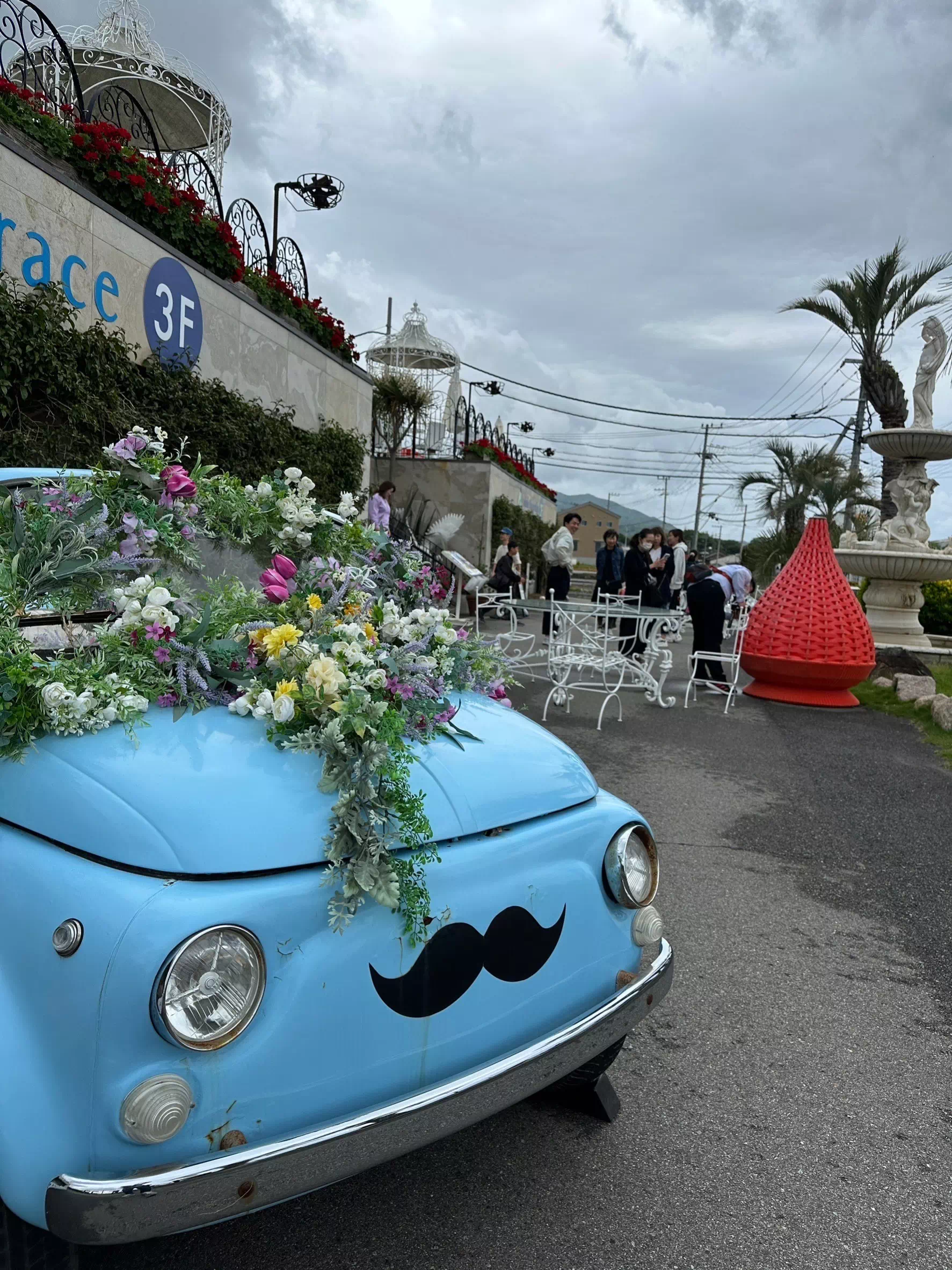 トイプードルの写真