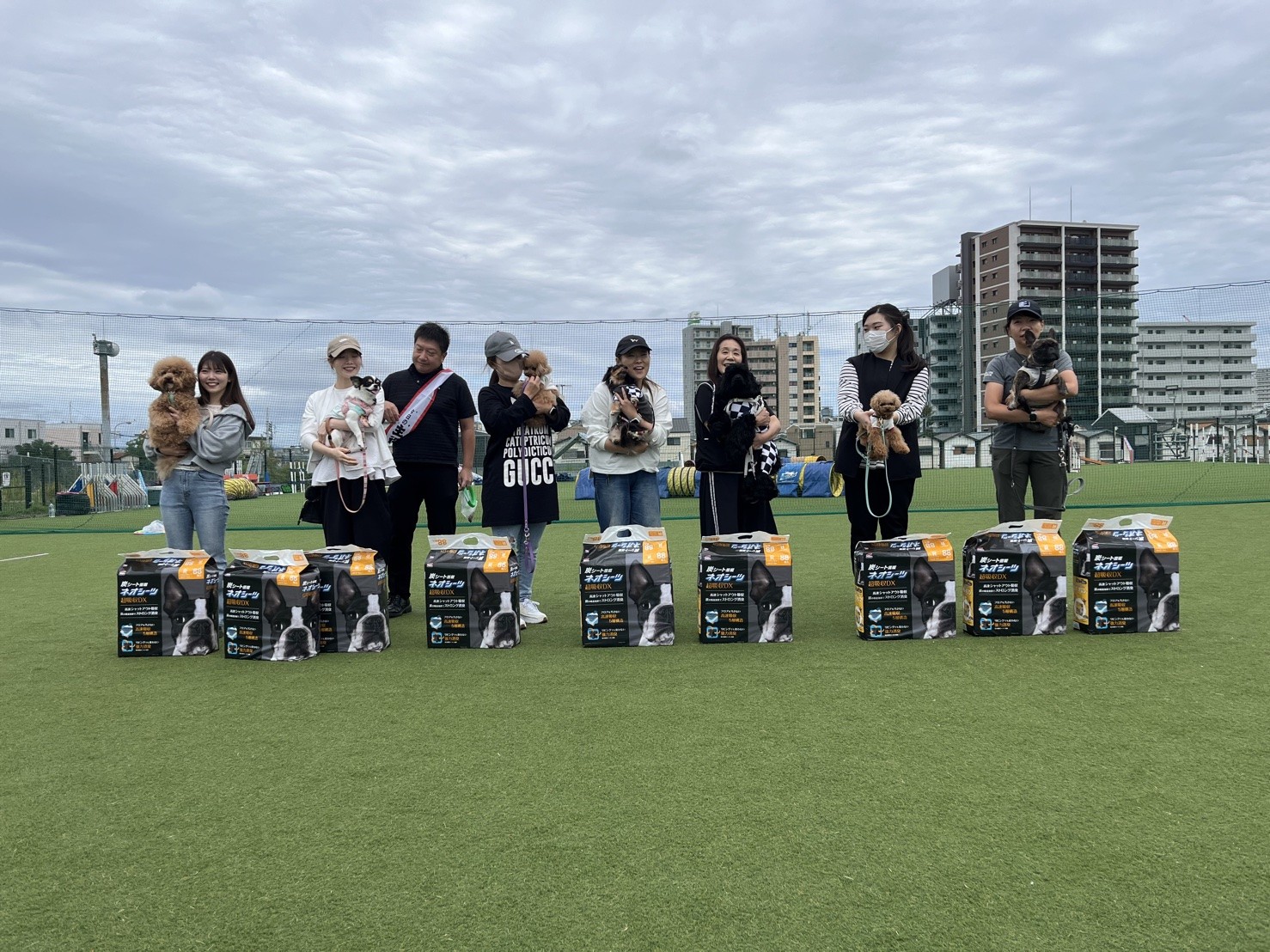 トイプードルの写真