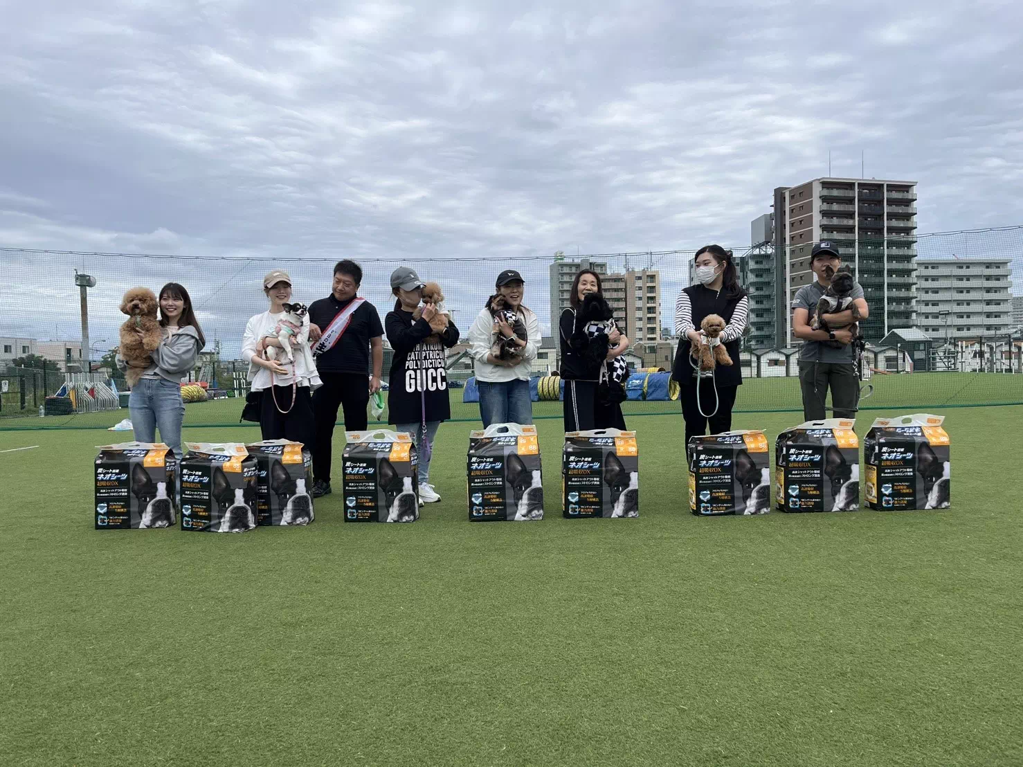 トイプードルの写真