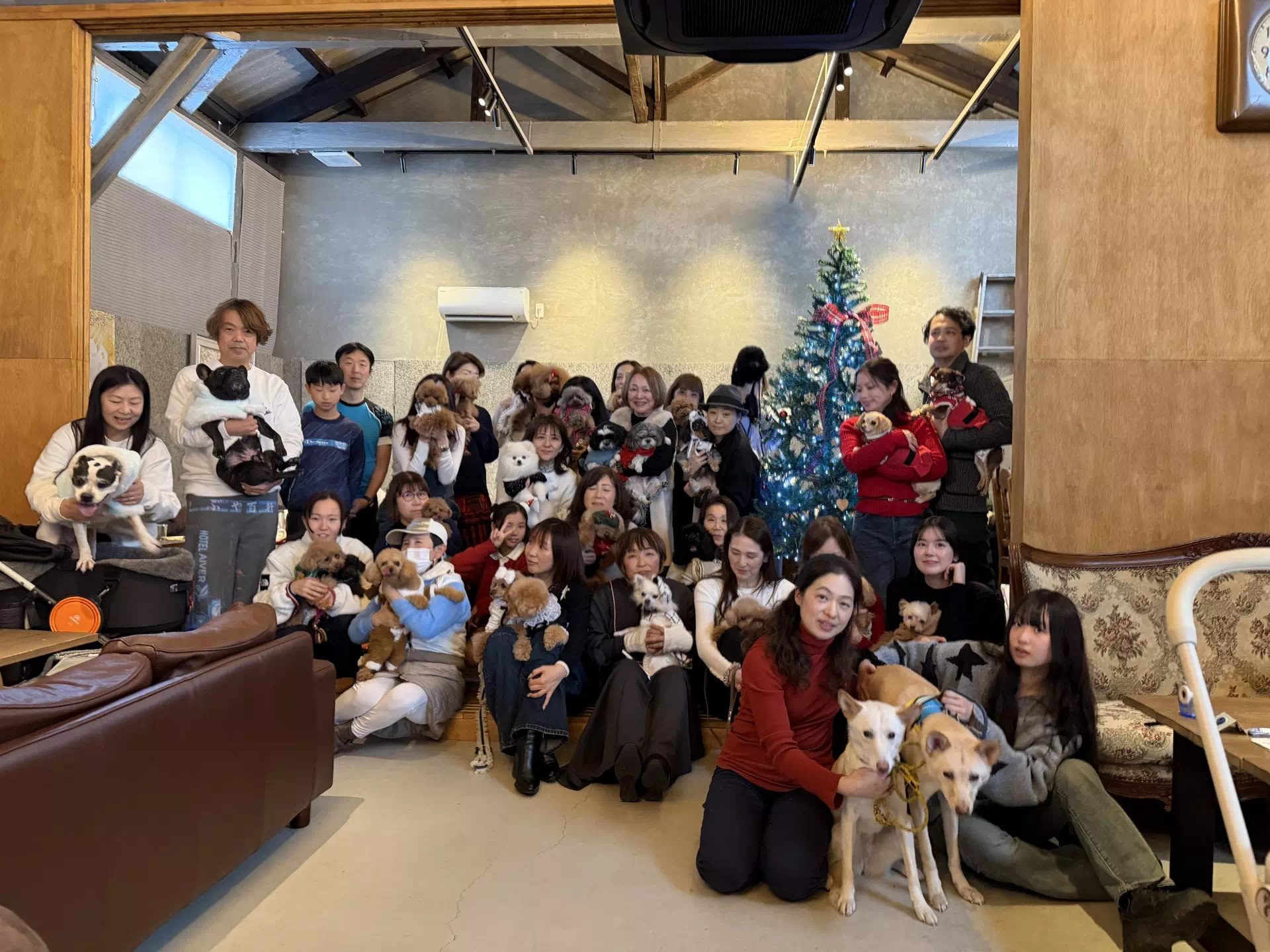 モデル犬の写真