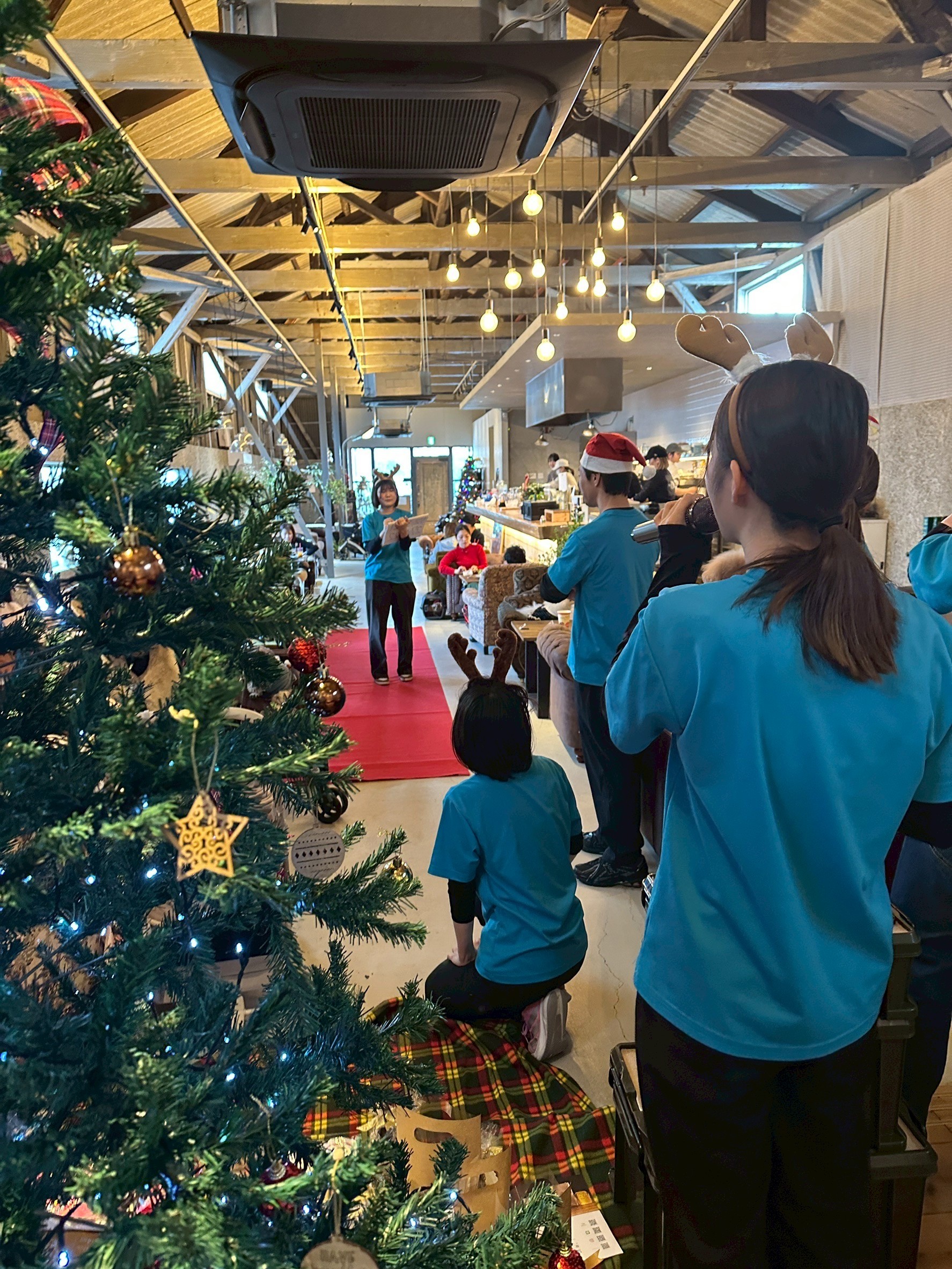 トイプードルの写真