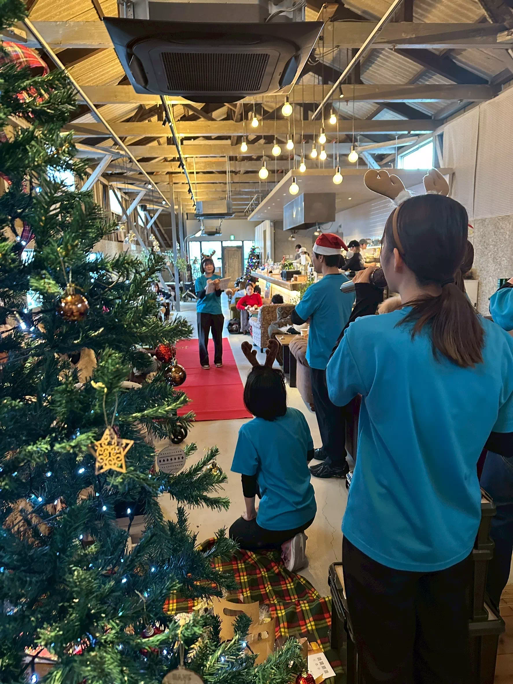 トイプードルの写真